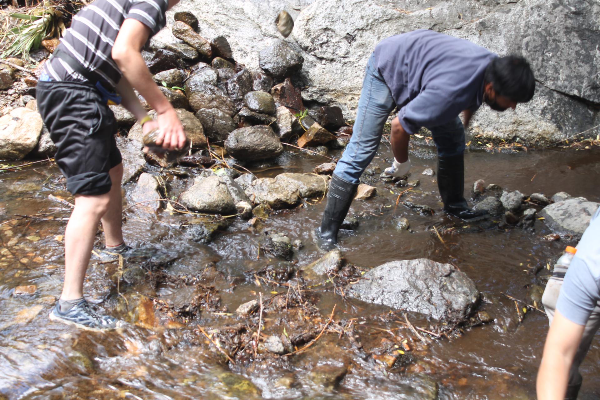 EMOSS Y DESARROLLO URBANO LIMPIAN EL RO CALABALUMBA PARA FACILITAR EL CURSO DEL AGUA