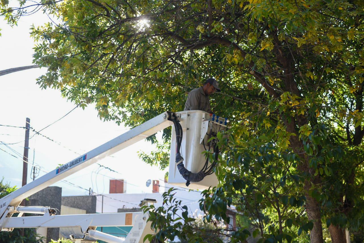 OBRAS PBLICAS: REPARACIN DE ALUMBRADO EN BARRIO CENTRO