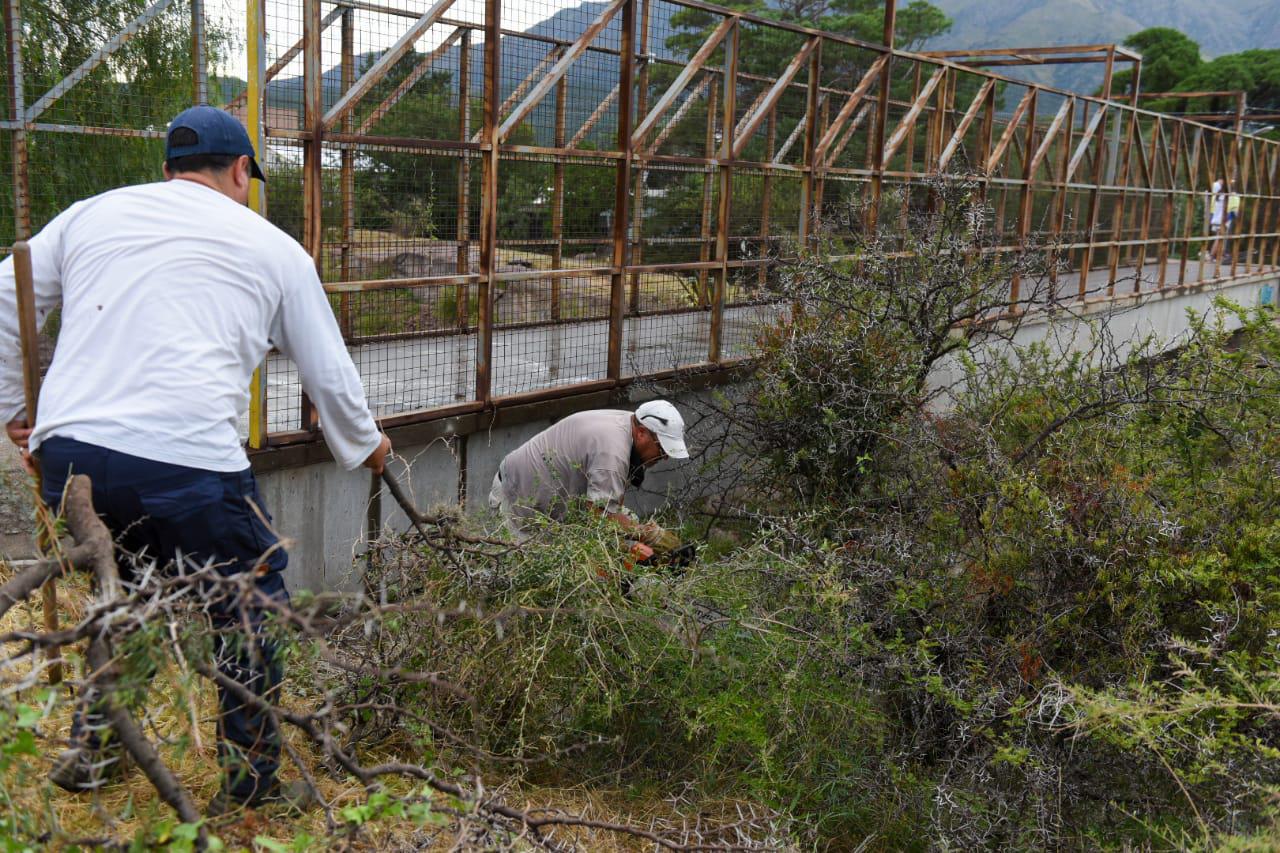 OBRAS PBLICAS: DESMALEZADO EN PUENTE PEATONAL