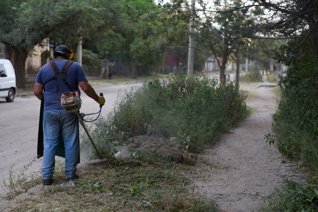 Obras Pblicas: desmalezado y limpieza sobre Av. Pueyrredn