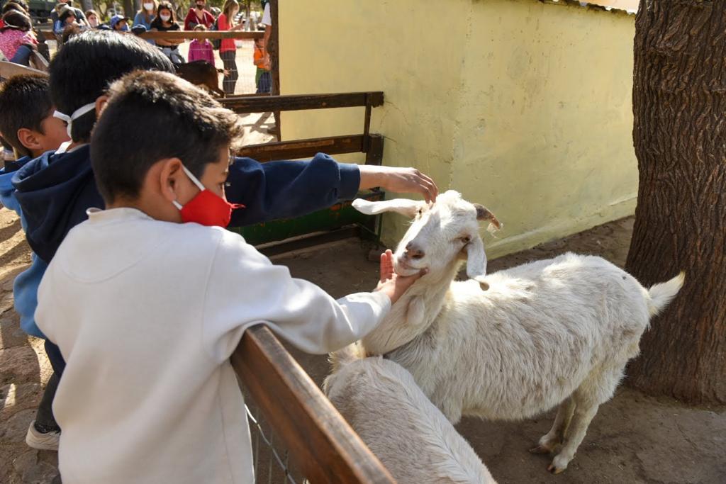 CON OJOS DE TURISTA: CHICOS Y CHICAS DEL GABINETE PSICOPEDAGGICO MUNICIPAL VISITARON LA GRANJA EDUCATIVA CASABLANCA