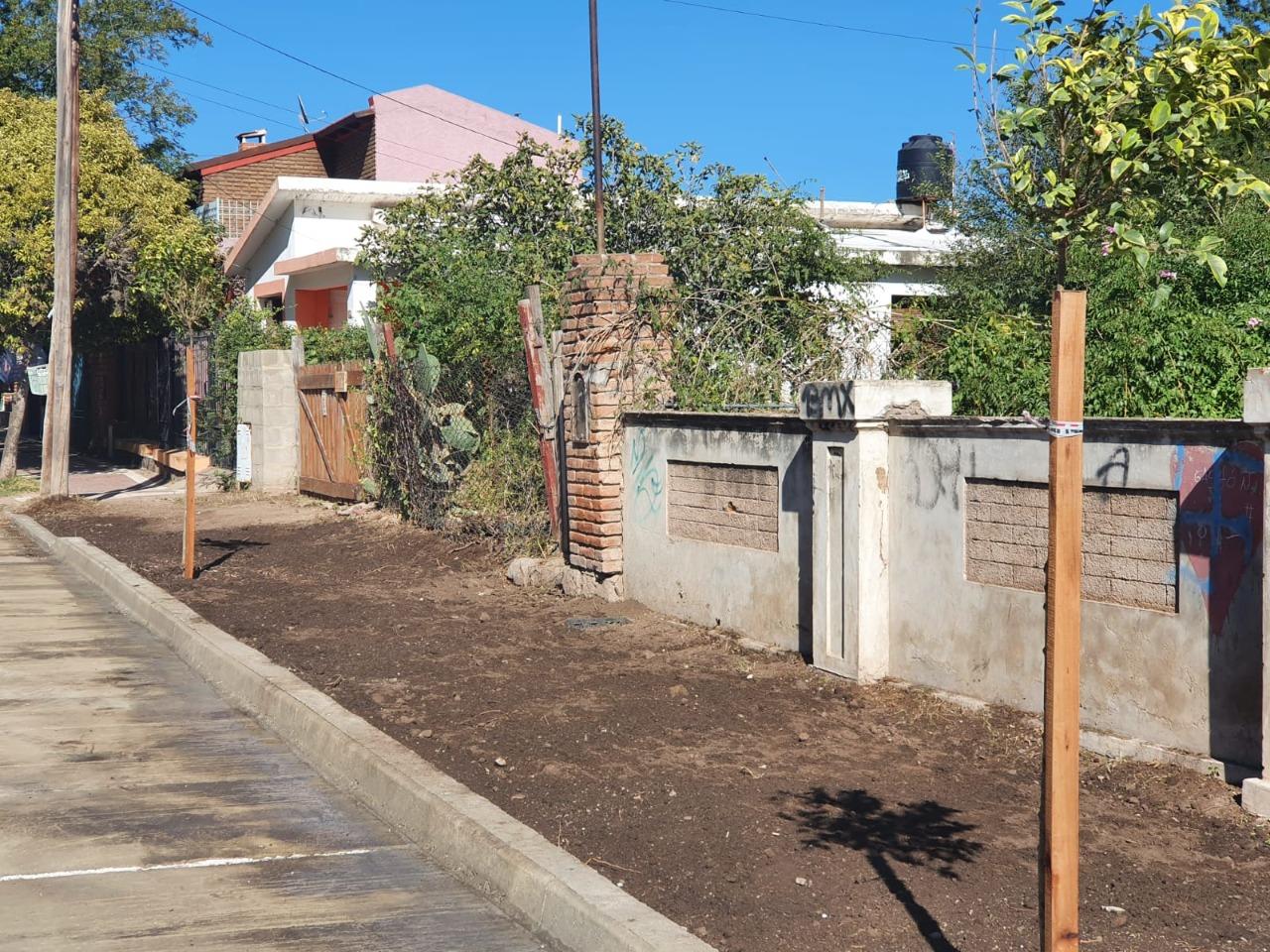 CONTINAN LAS MEJORAS EN CORDONES Y ASFALTO DE AV. PUEYRREDN