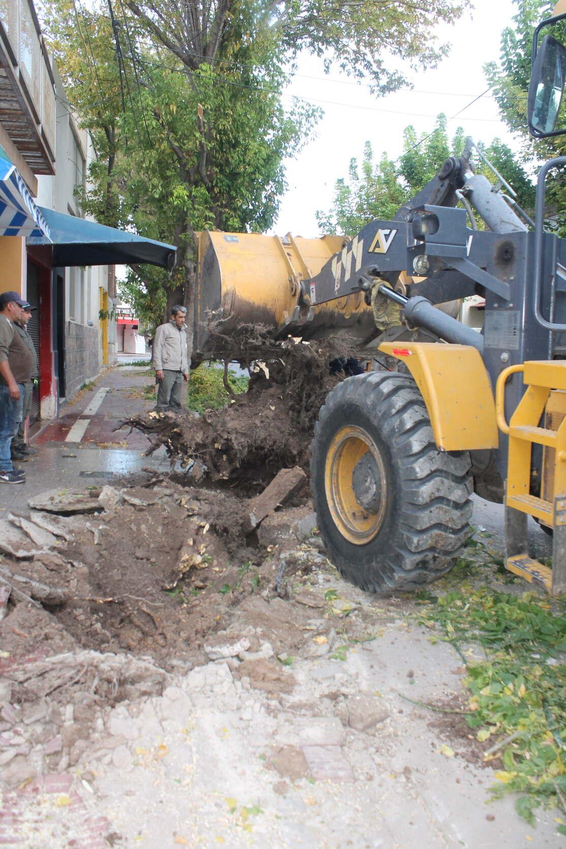 ESTAMOS INICIANDO EL PLAN DE REPARACIN DE VEREDAS EN EL CASCO CNTRICO