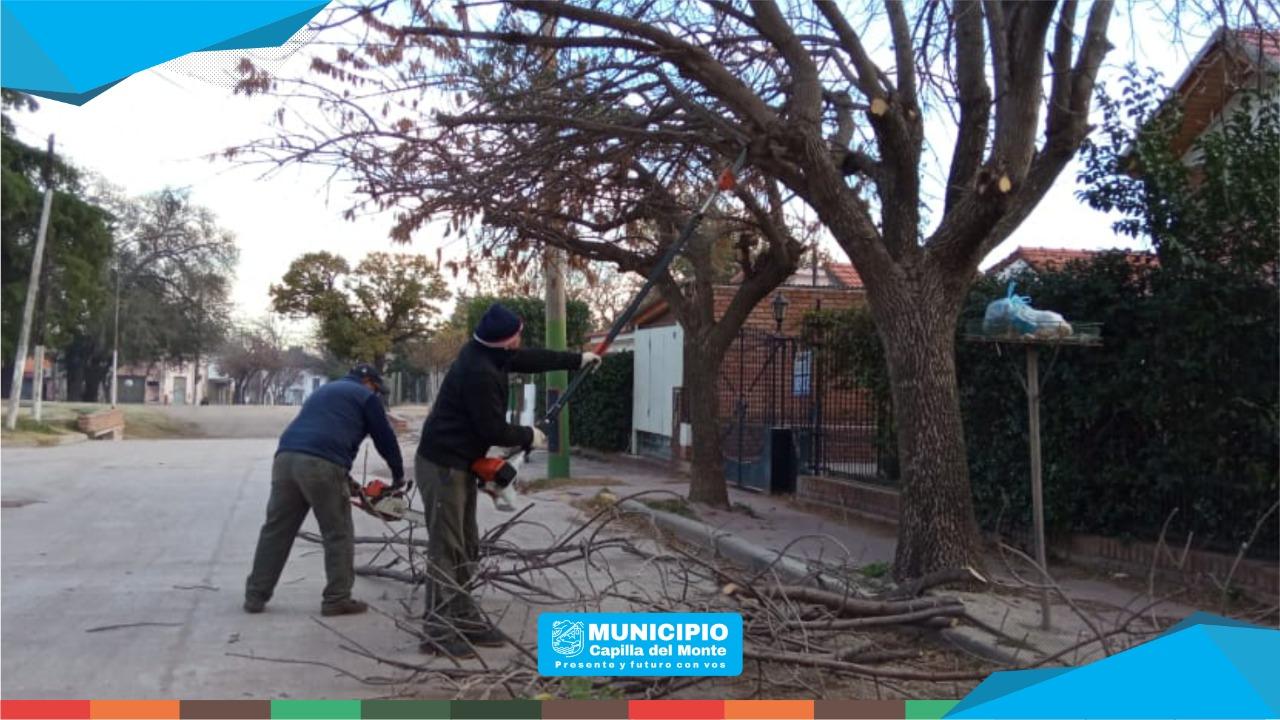 PODA Y LIMPIEZA EN CASCO URBANO Y ALREDEDORES