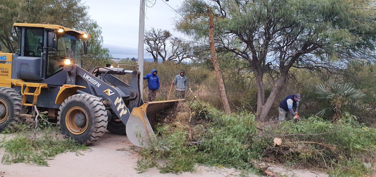 PODA Y LIMPIEZA DE ESPACIOS VERDES EN BARRIO LA BANDA