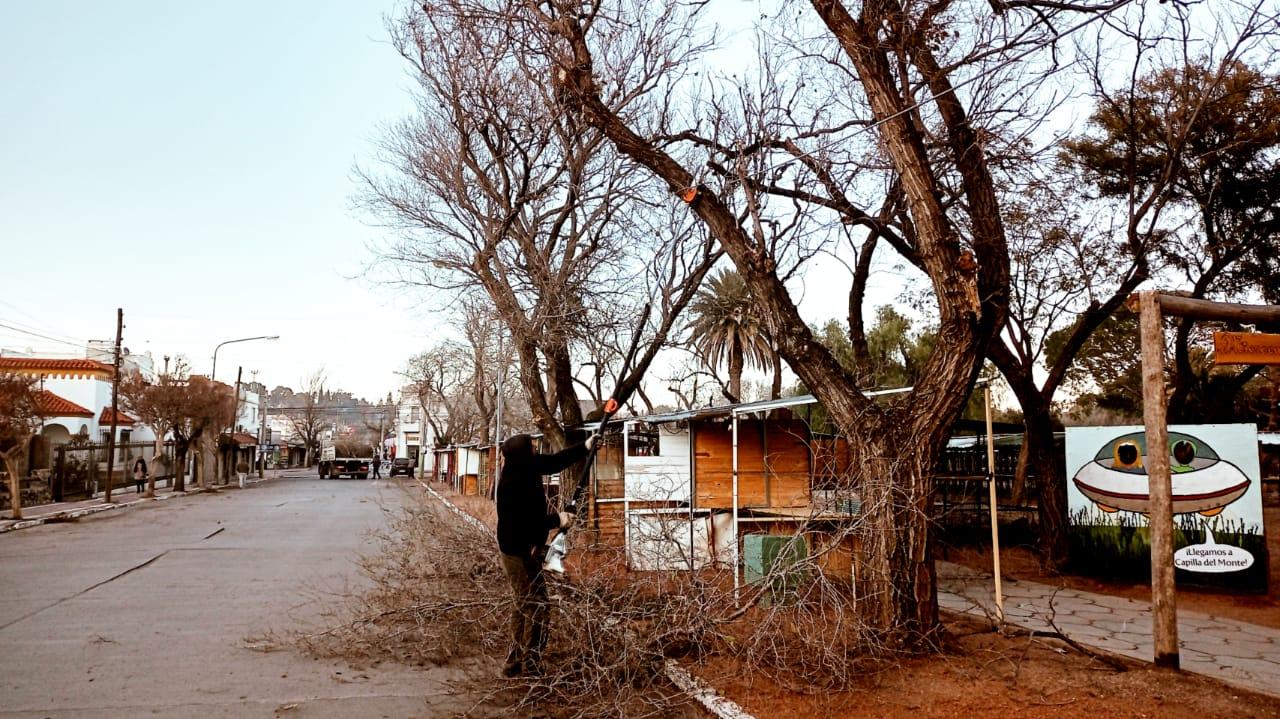 PODA Y LIMPIEZA DE ESPACIOS VERDES EN BARRIO CENTRO