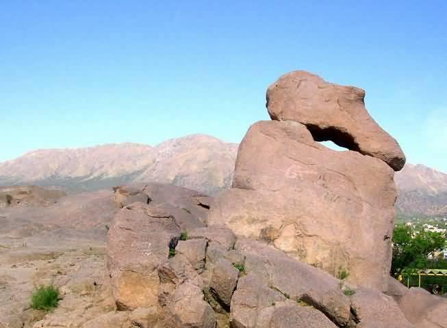 YA ESTN EN VENTA LOS PLIEGOS PARA EL LLAMADO A LICITACIN DEL PASEO EL ZAPATO