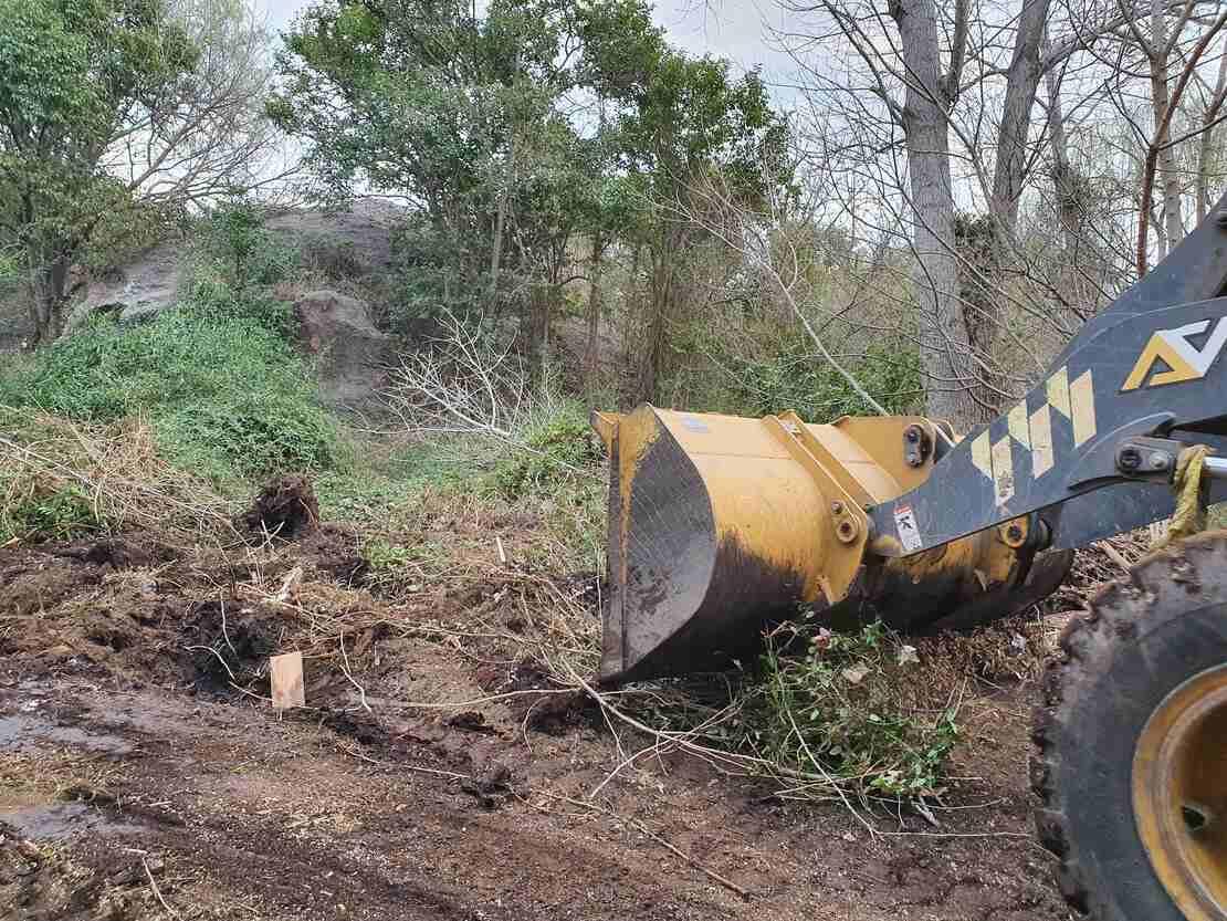 TRABAJO DE LIMPIEZA DE ESPACIOS VERDES EN BARRIO 9 DE JULIO